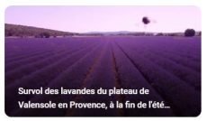 Vidéo par drone tournée sur le plateau de Valensole pour filmer les champs de lavande de la Provence